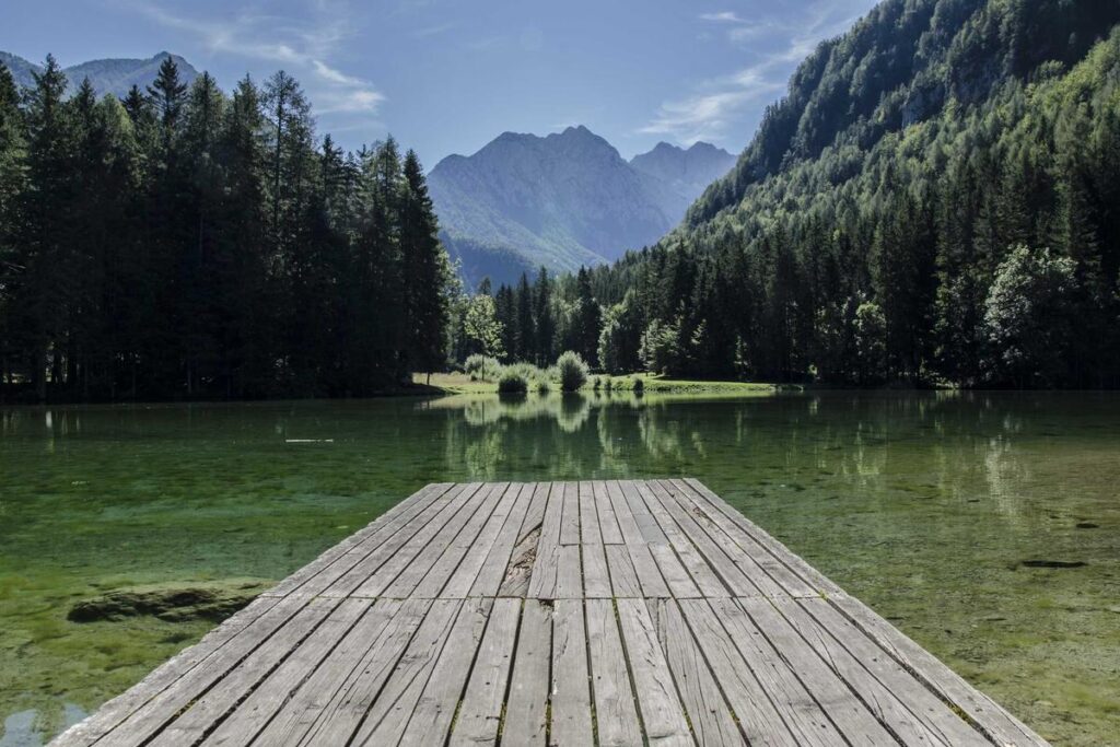 Yeni Uyelere Ozel Deneme Bonusu Veren Siteler